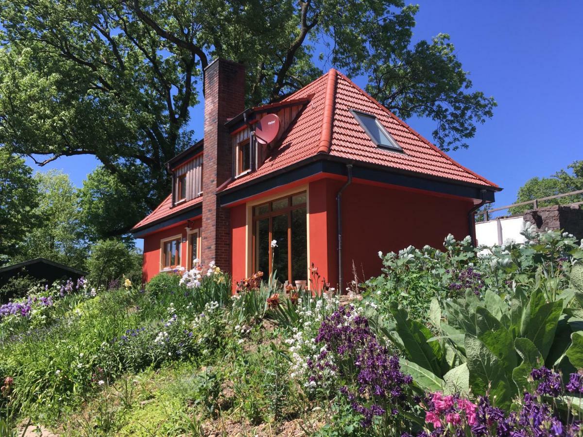 Kleine Villa Im Wilden Garten Gummersbach Exterior photo