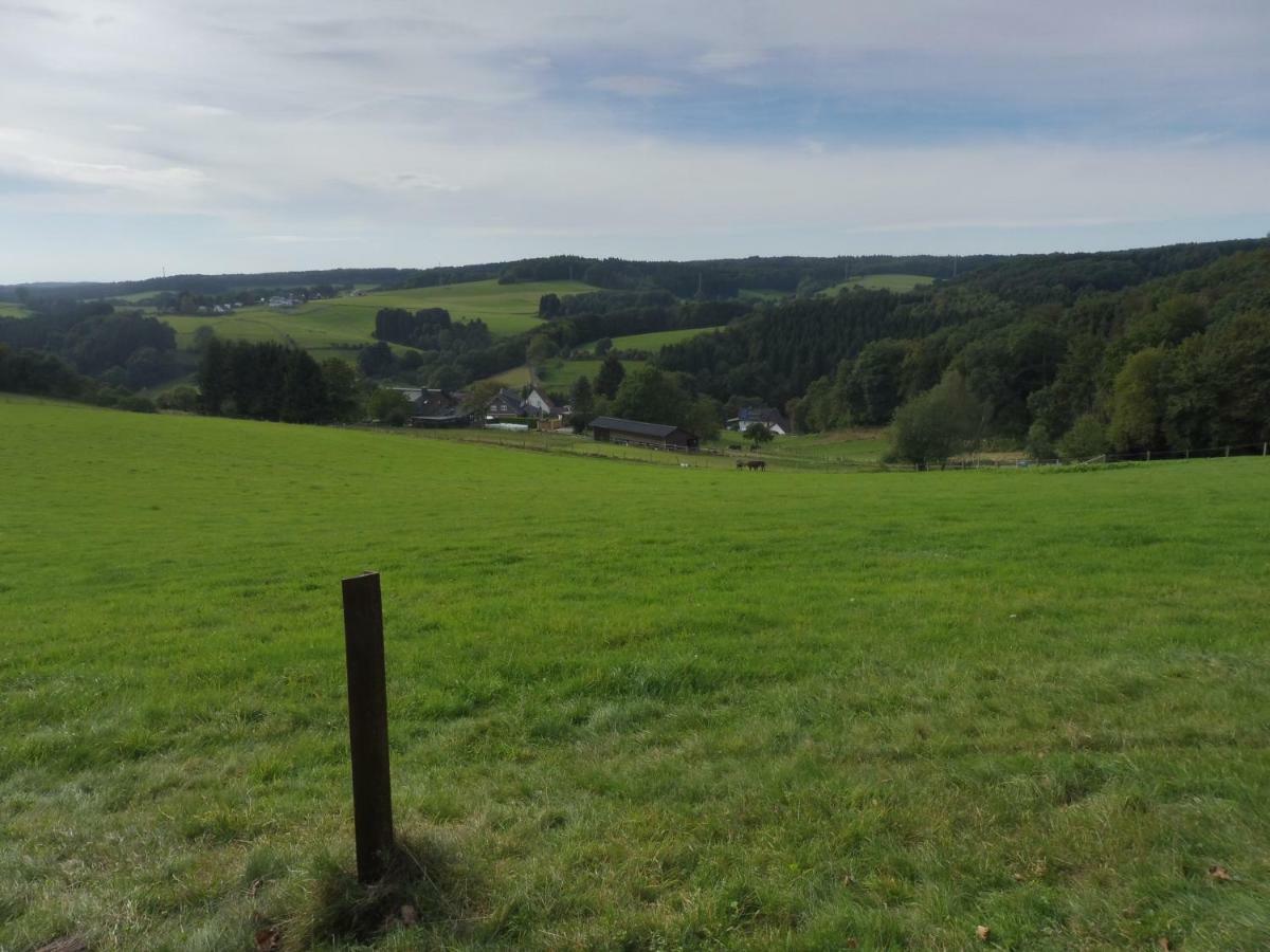 Kleine Villa Im Wilden Garten Gummersbach Exterior photo
